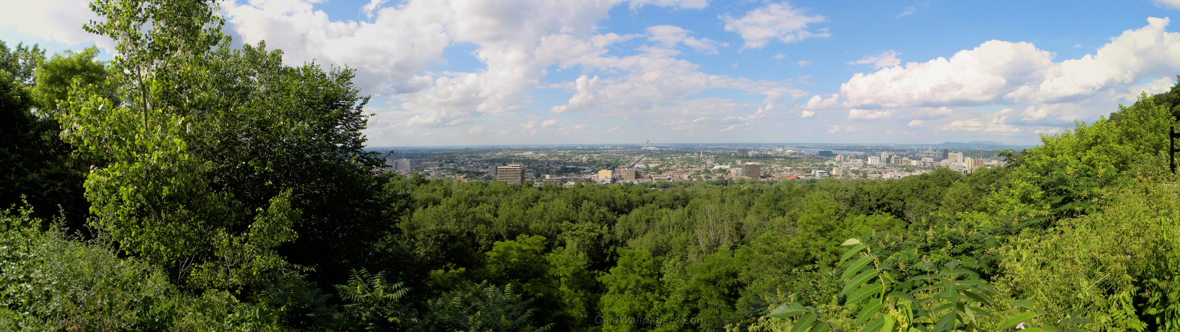 Montreal East seen from Mount Royal - Free desktop wallpapers