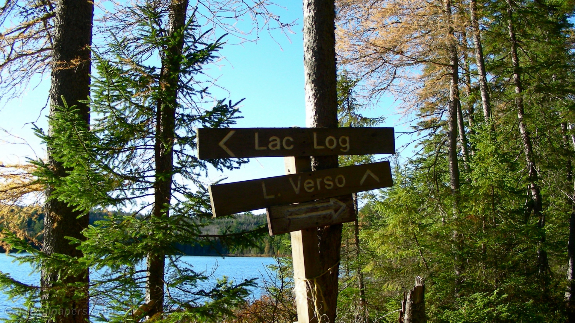 Directions des lacs dans la forêt - Fonds d'écran gratuits