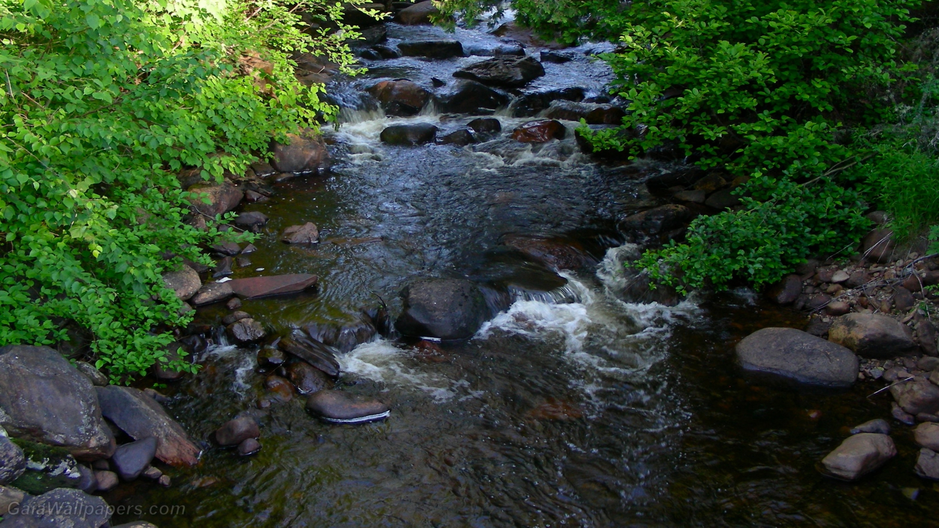 Ruisseau - Fonds d'écran gratuits