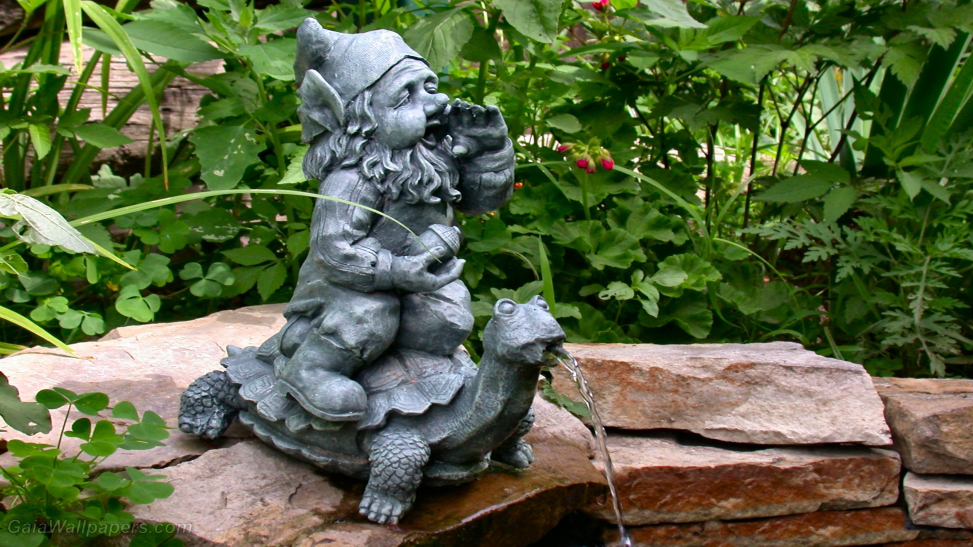 Garden gnome - Free desktop wallpapers