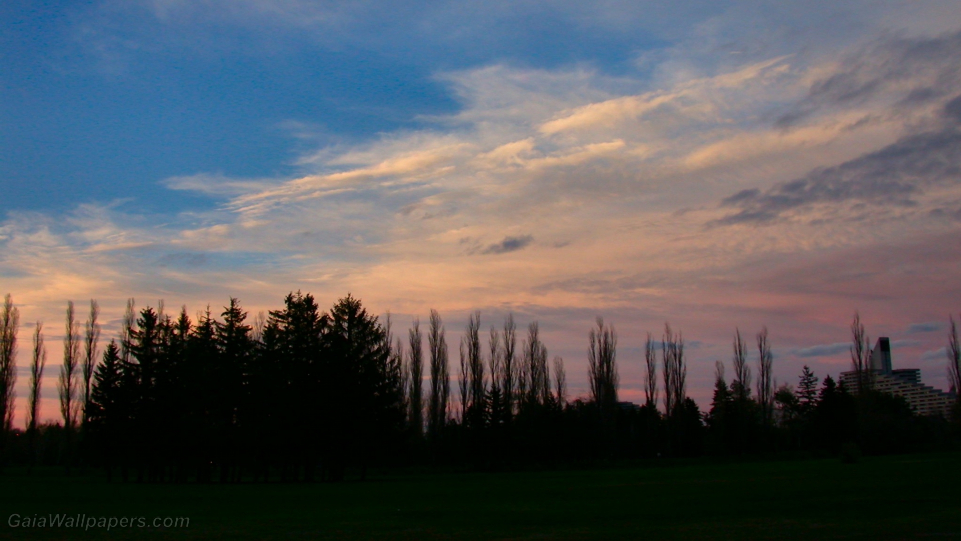 Maisonneuve Park at the end of the day - Free desktop wallpapers