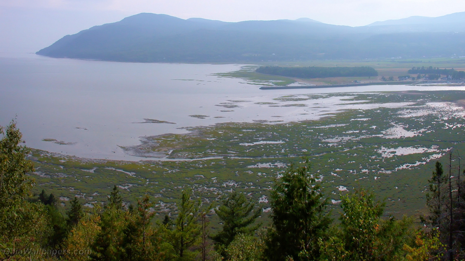 Marshes along the St-Lawrence River at Baie-Saint-Paul - Free desktop wallpapers