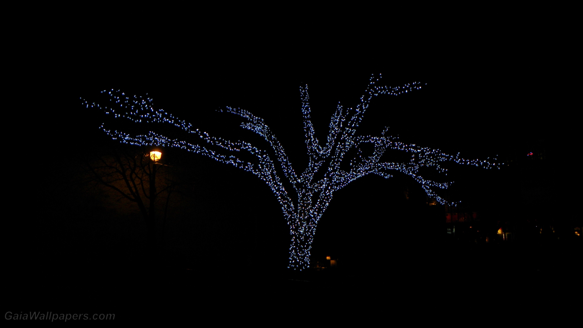 Decorated tree for Christmas in an urban park - Free desktop wallpapers