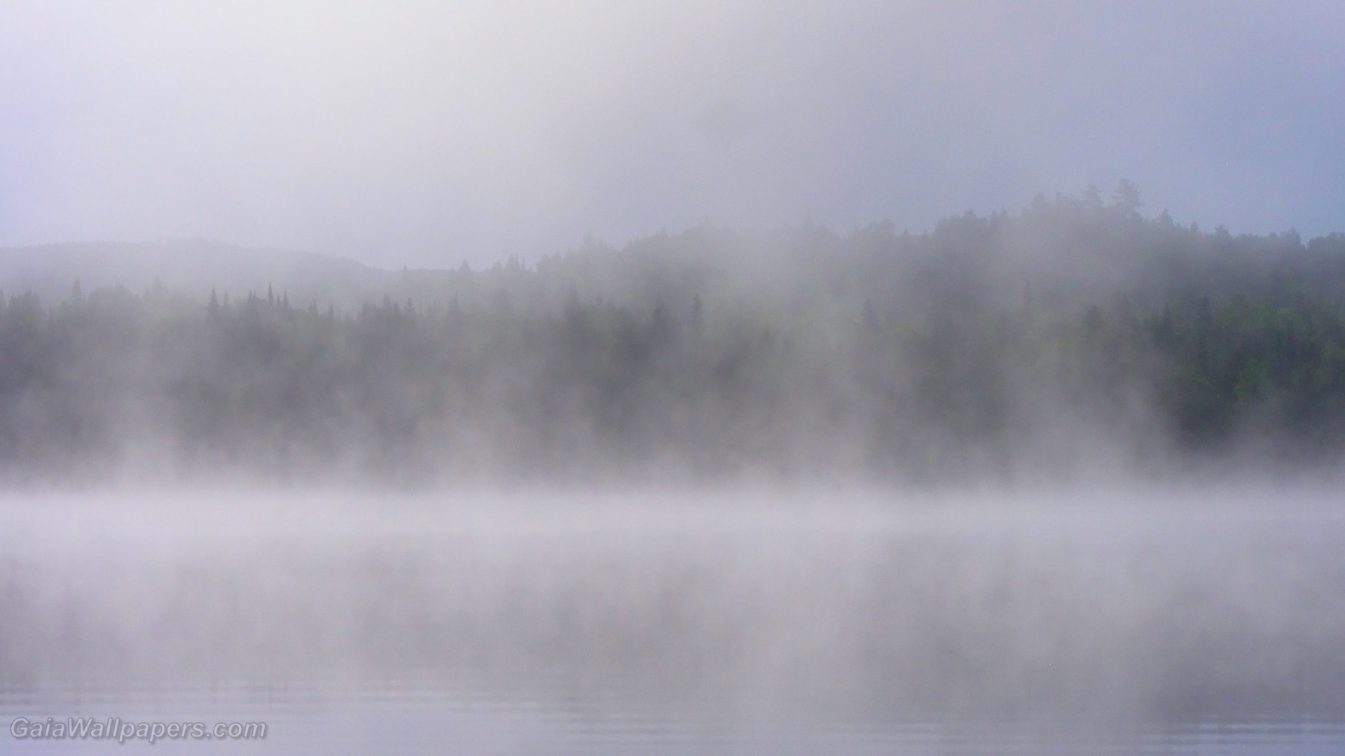 Lac Caisse in the morning mist - Free desktop wallpapers