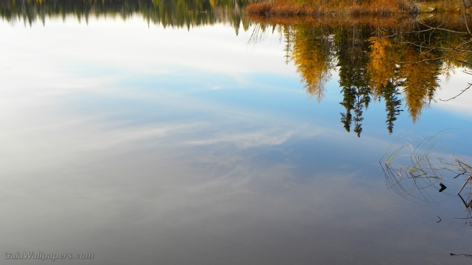 Reflection of an autumn forest on a calm lake - Free desktop wallpapers
