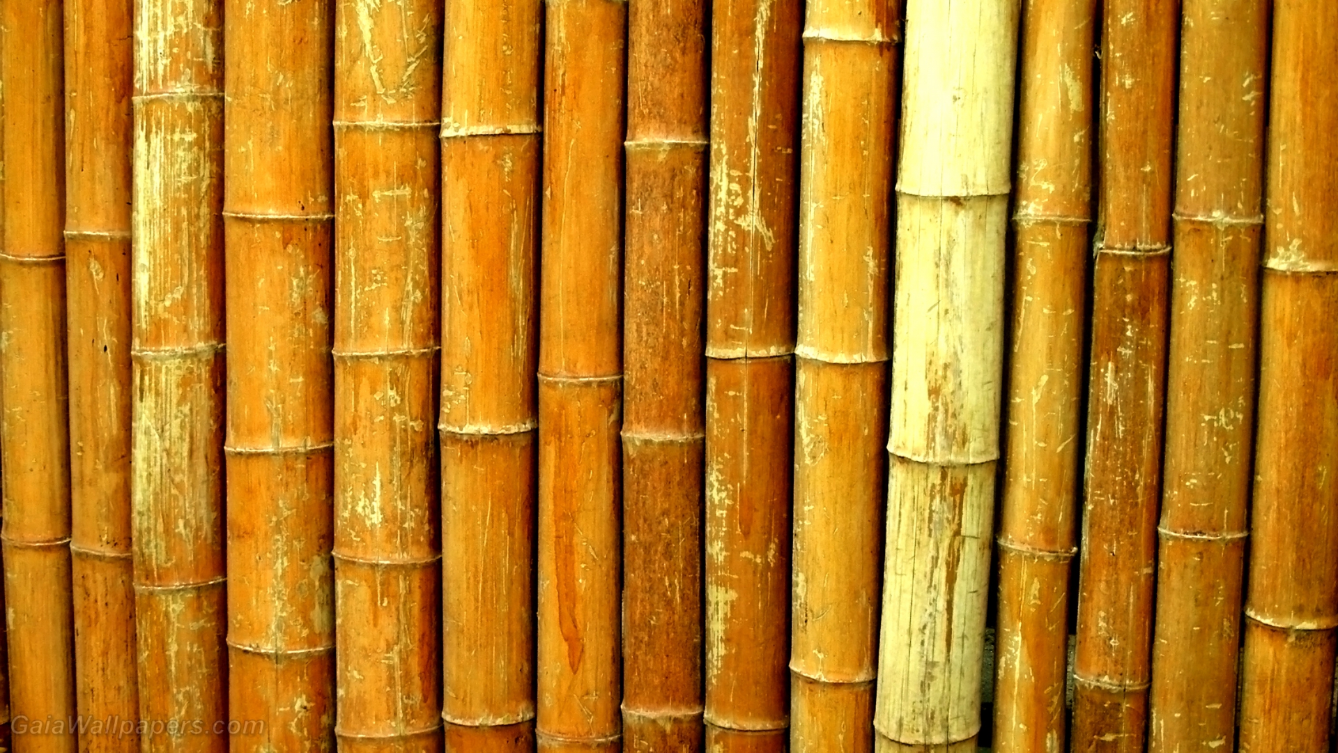 Wall of bamboo - Free desktop wallpapers