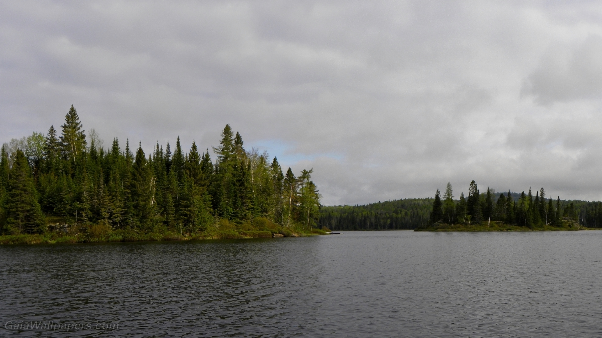 Beautiful cloudy day over a wild lake - Free desktop wallpapers