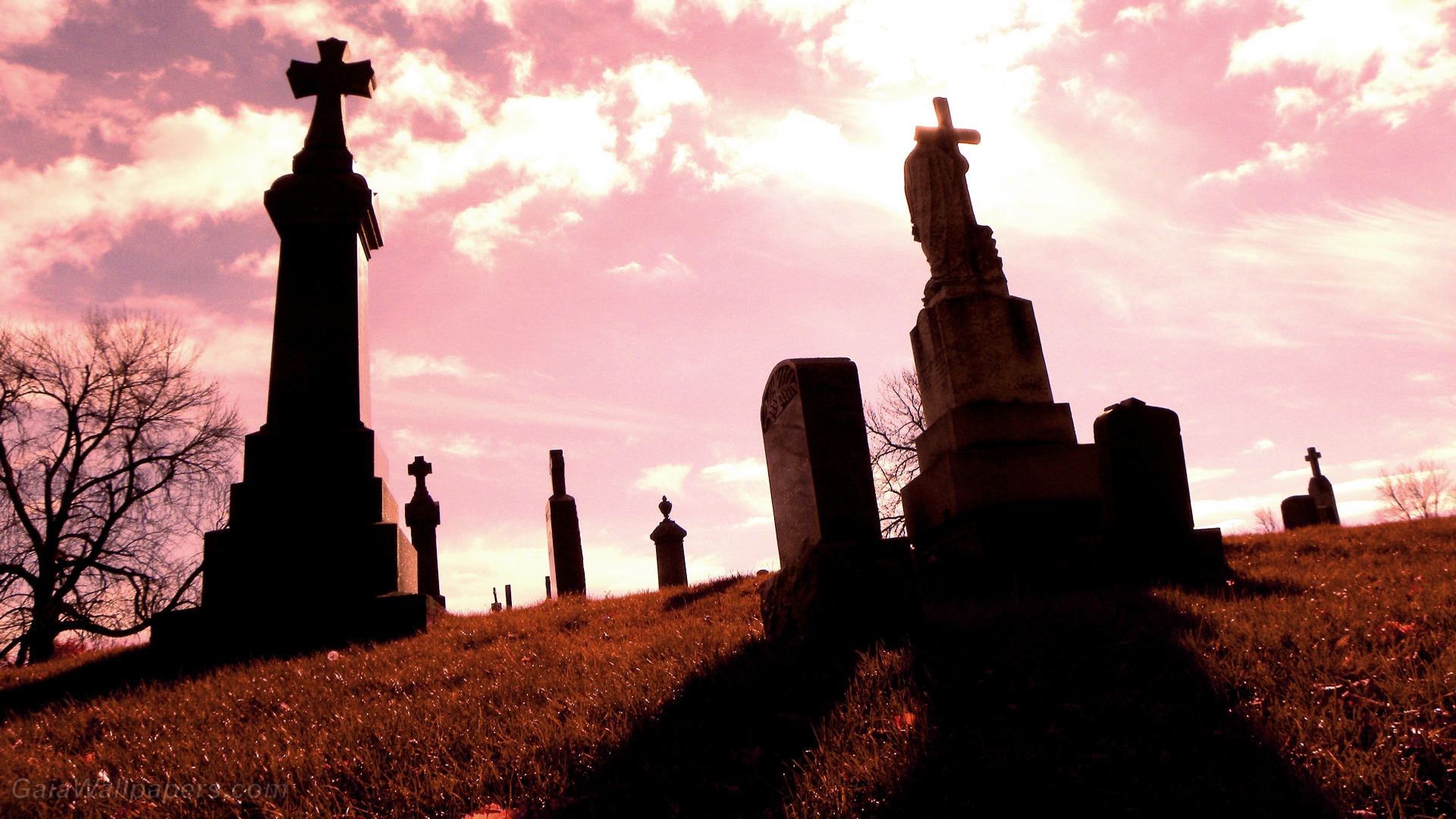 Critical moment in the cemetery - Free desktop wallpapers