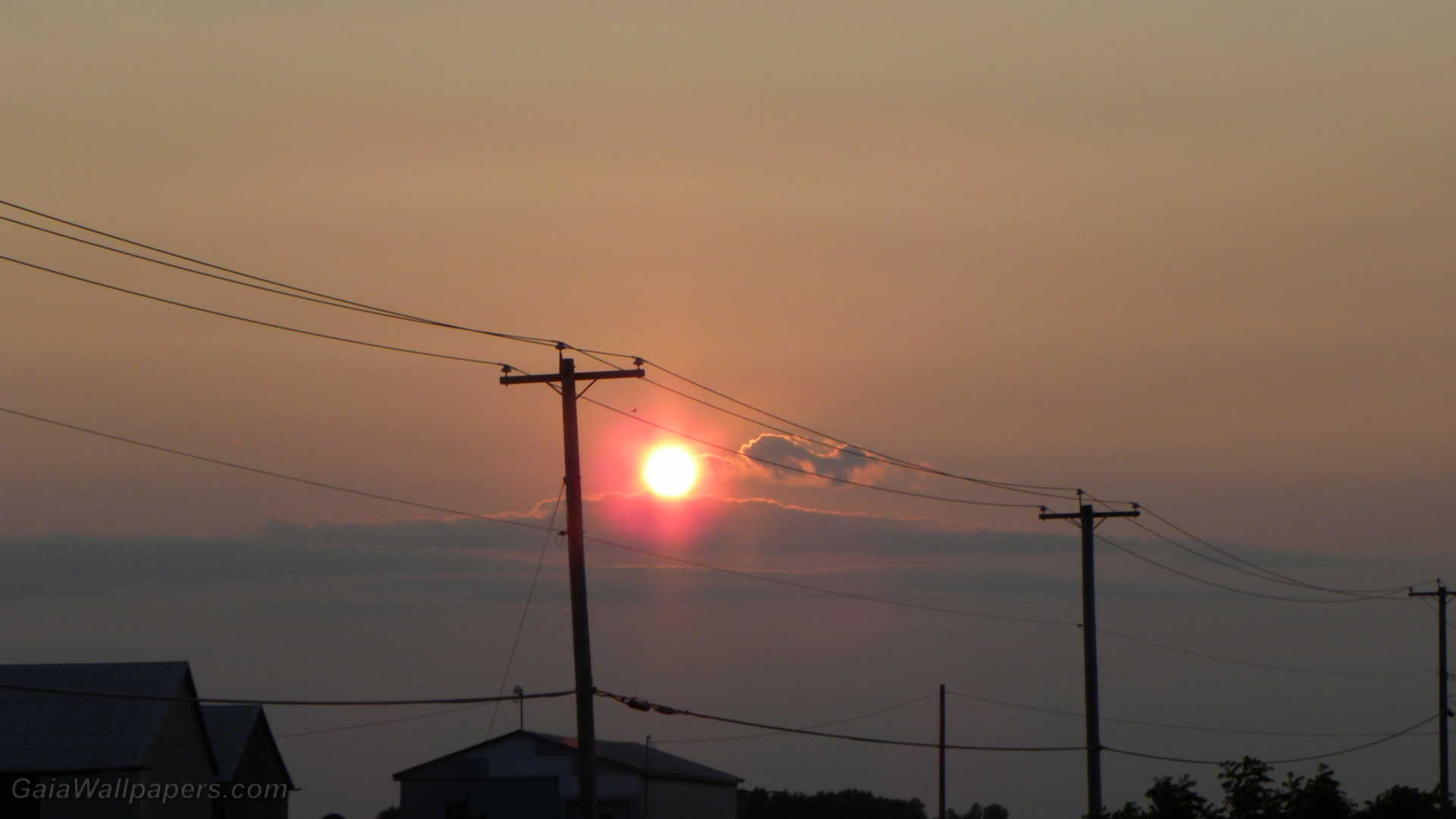 Sunset above the power lines - Free desktop wallpapers