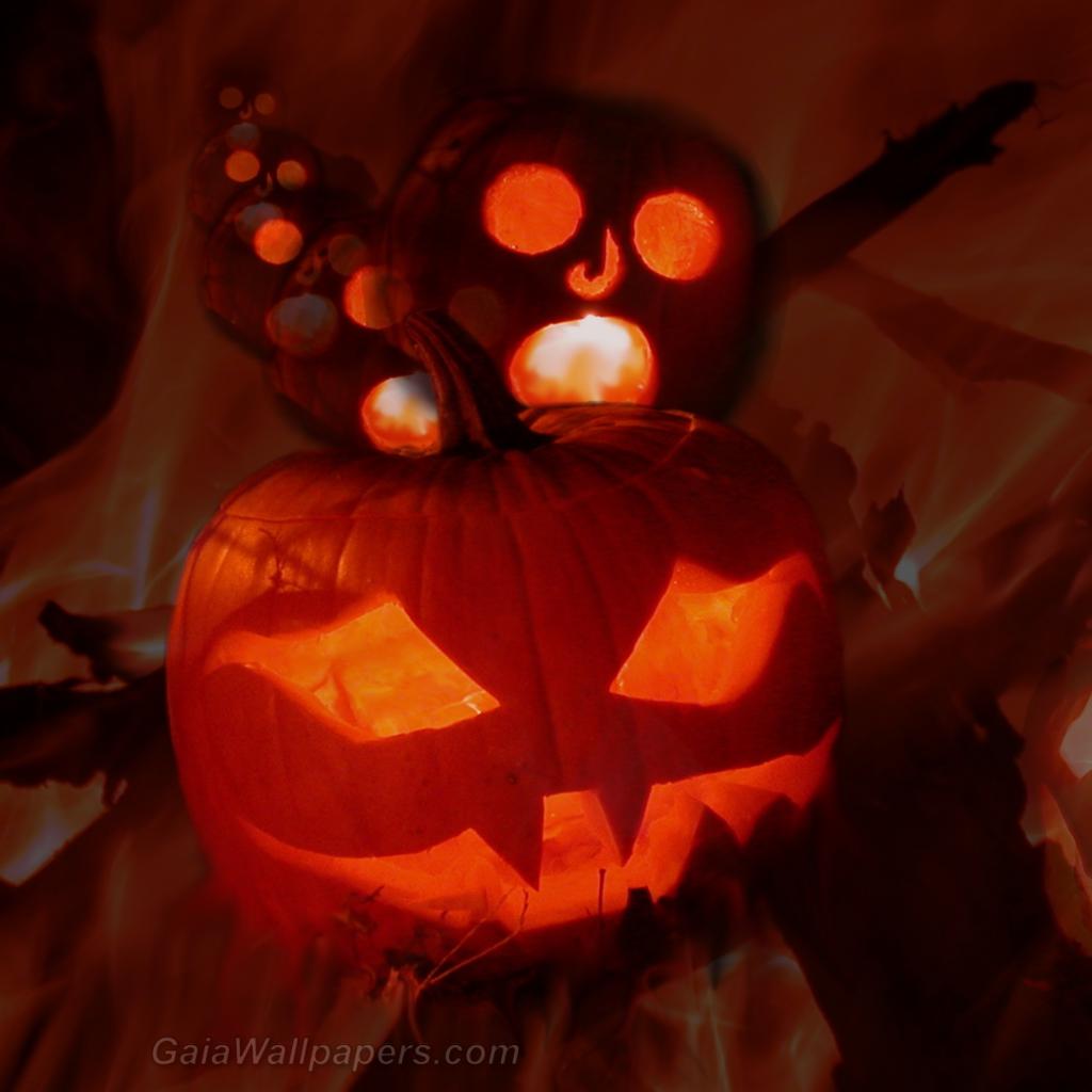 Halloween ghost pumpkin party - Free desktop wallpapers