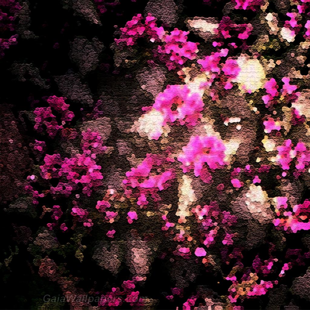 Fuzzy flower cover - Free desktop wallpapers
