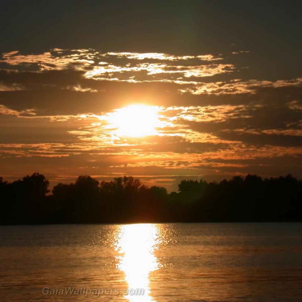 Coucher de soleil sur la rivière - Fonds d'écran gratuits
