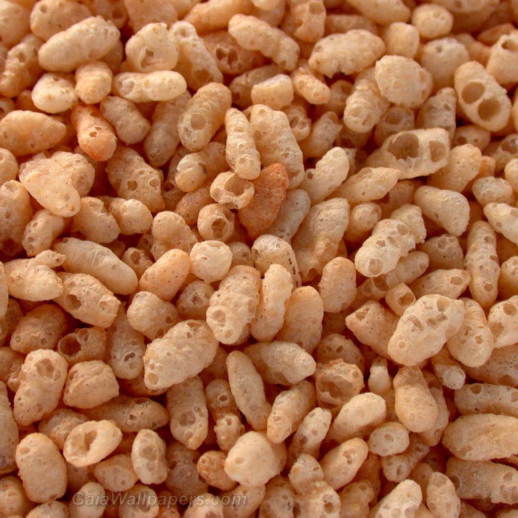 Rice Krispies - Free desktop wallpapers