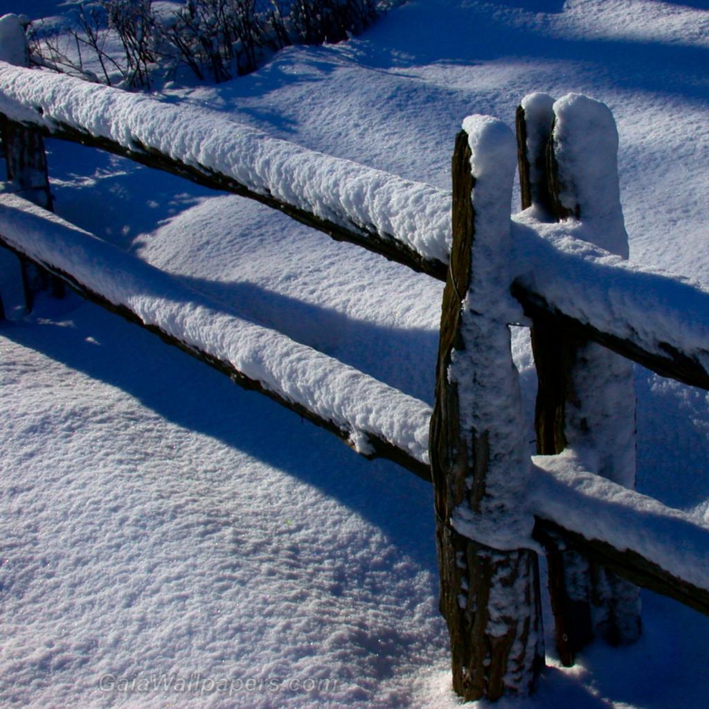 Snow-covered fence - Free desktop wallpapers