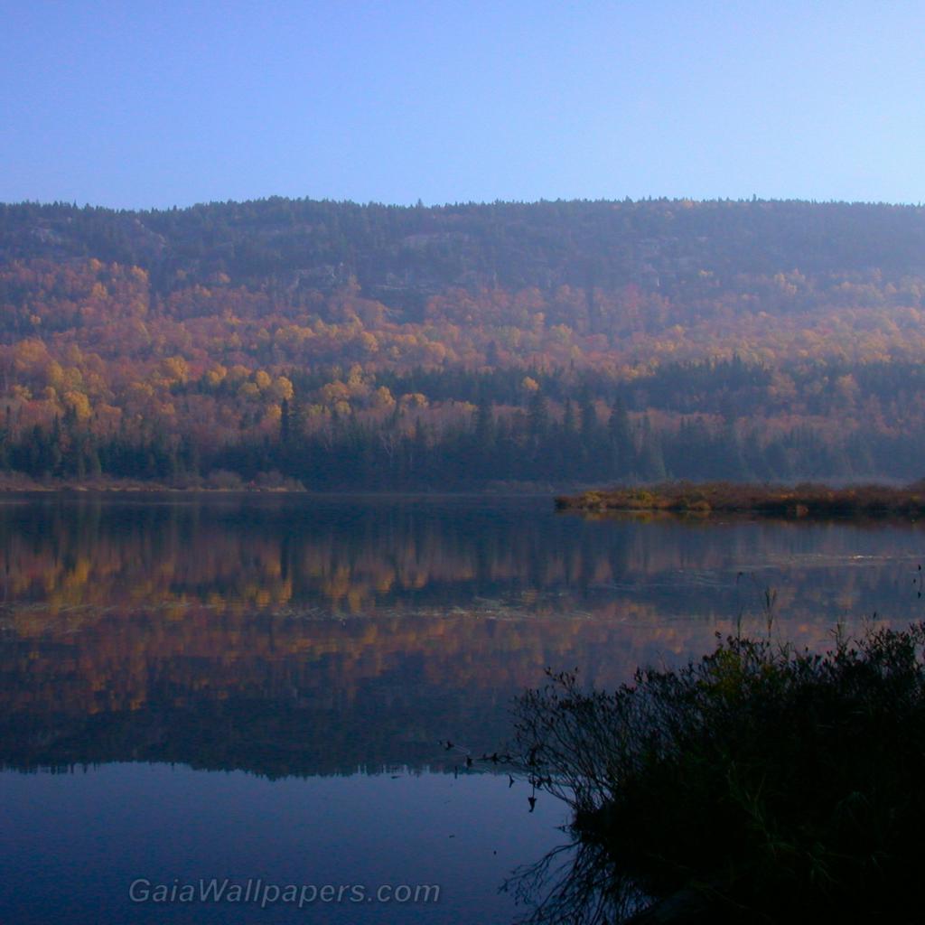 Lac mirroir en automne - Fonds d'écran gratuits