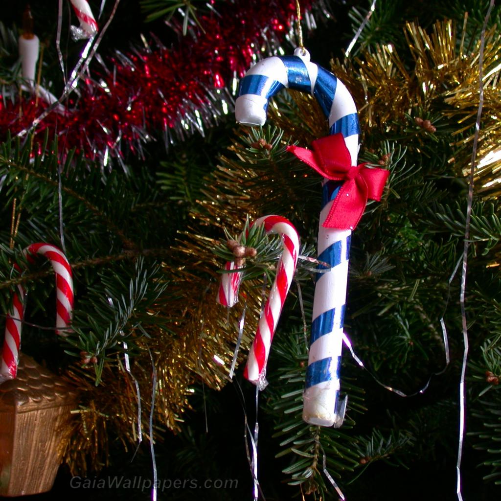 Christmas cane decorations - Free desktop wallpapers