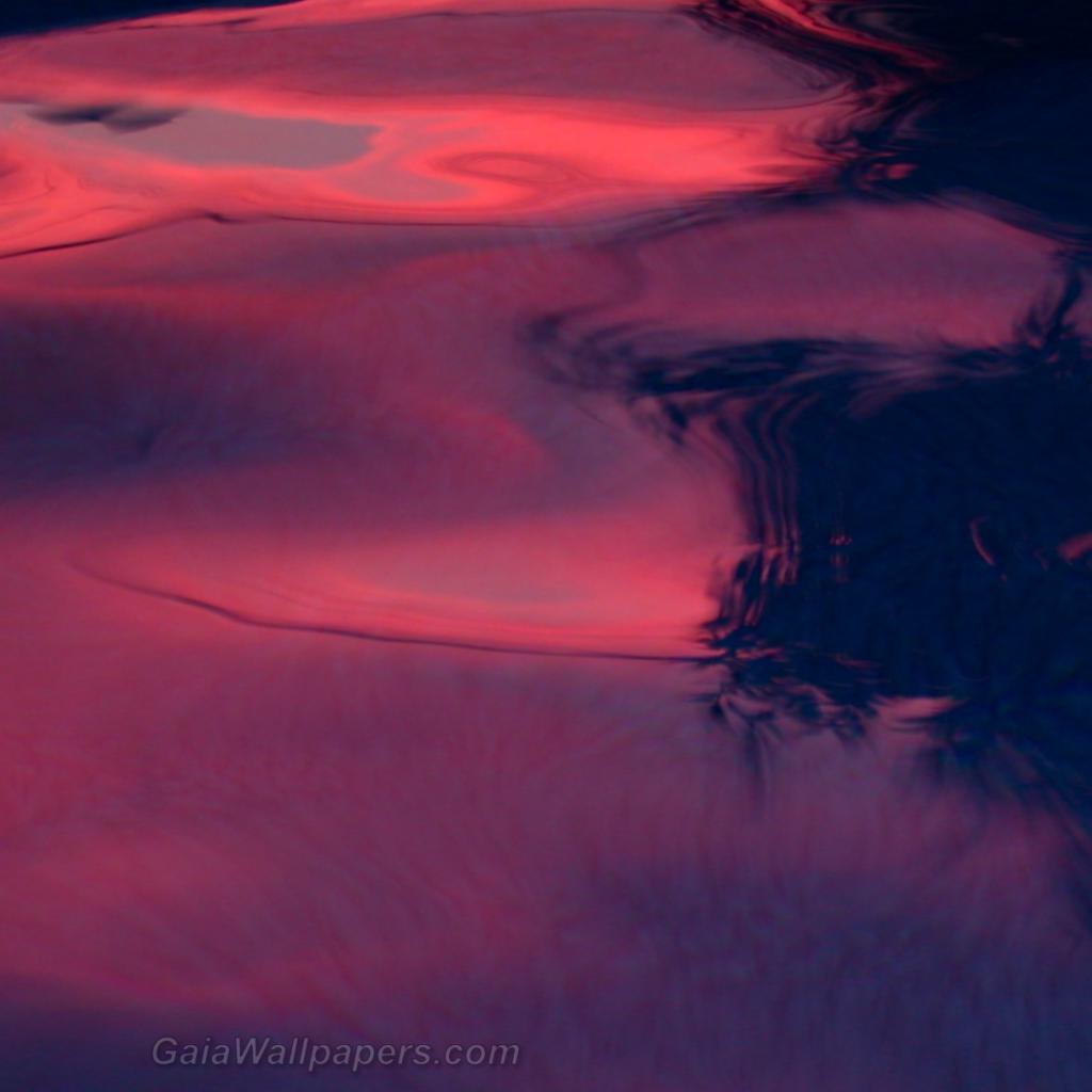 Pink sunset light in the pool - Free desktop wallpapers