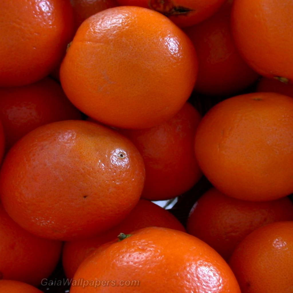 Oranges - Free desktop wallpapers