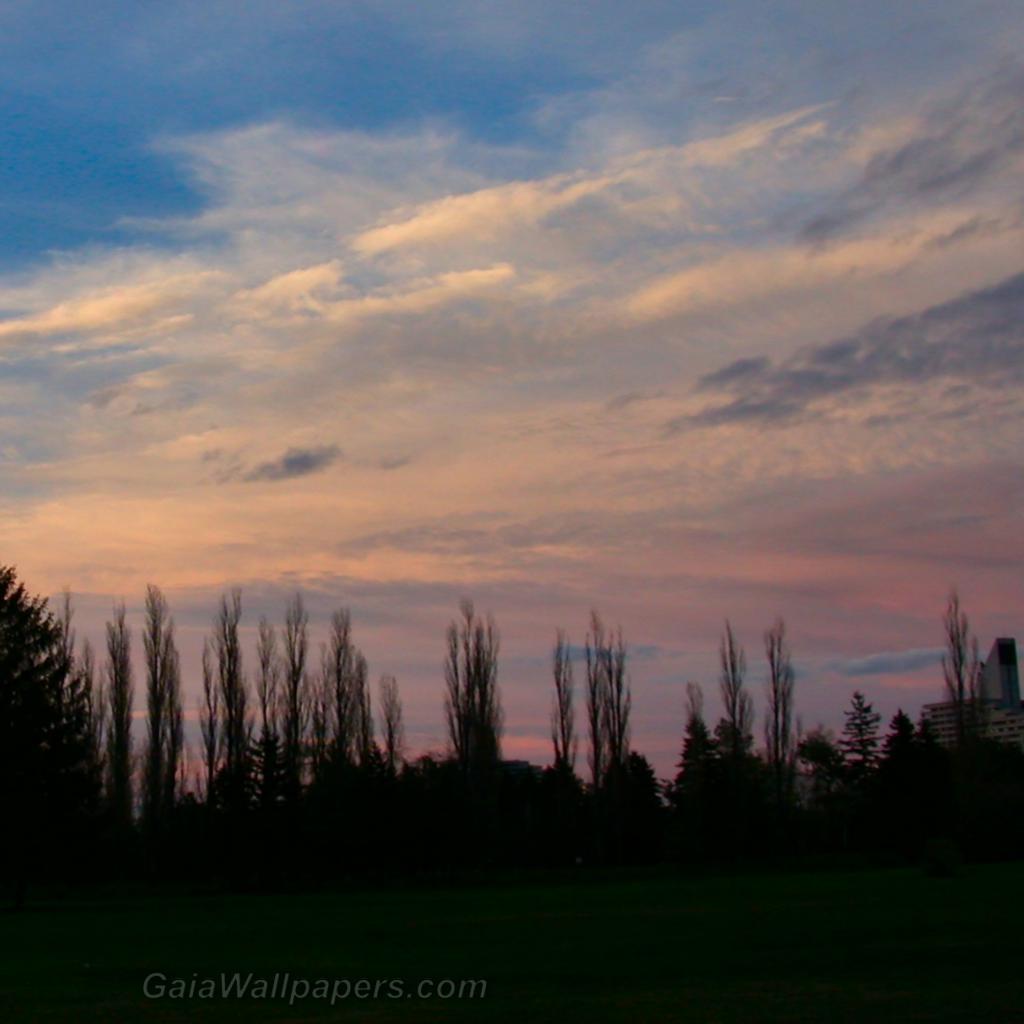 Maisonneuve Park at the end of the day - Free desktop wallpapers
