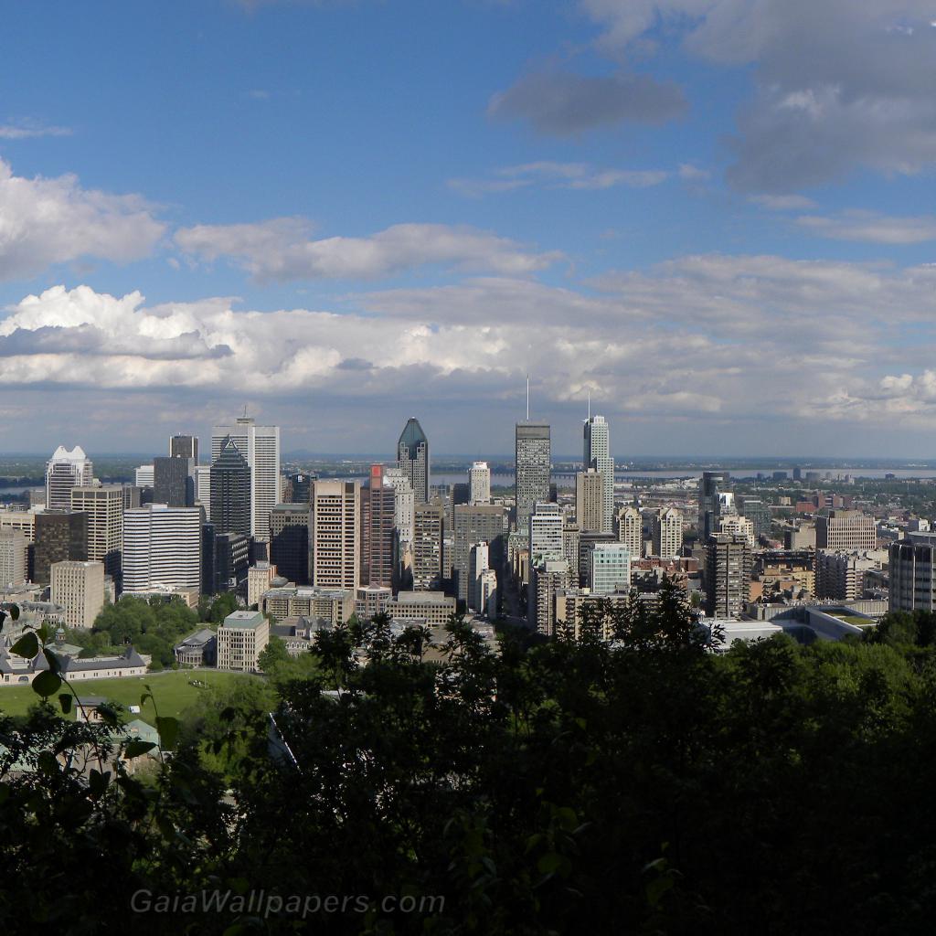 Centre-ville de Montréal vu du Mont-Royal - Fonds d'écran gratuits