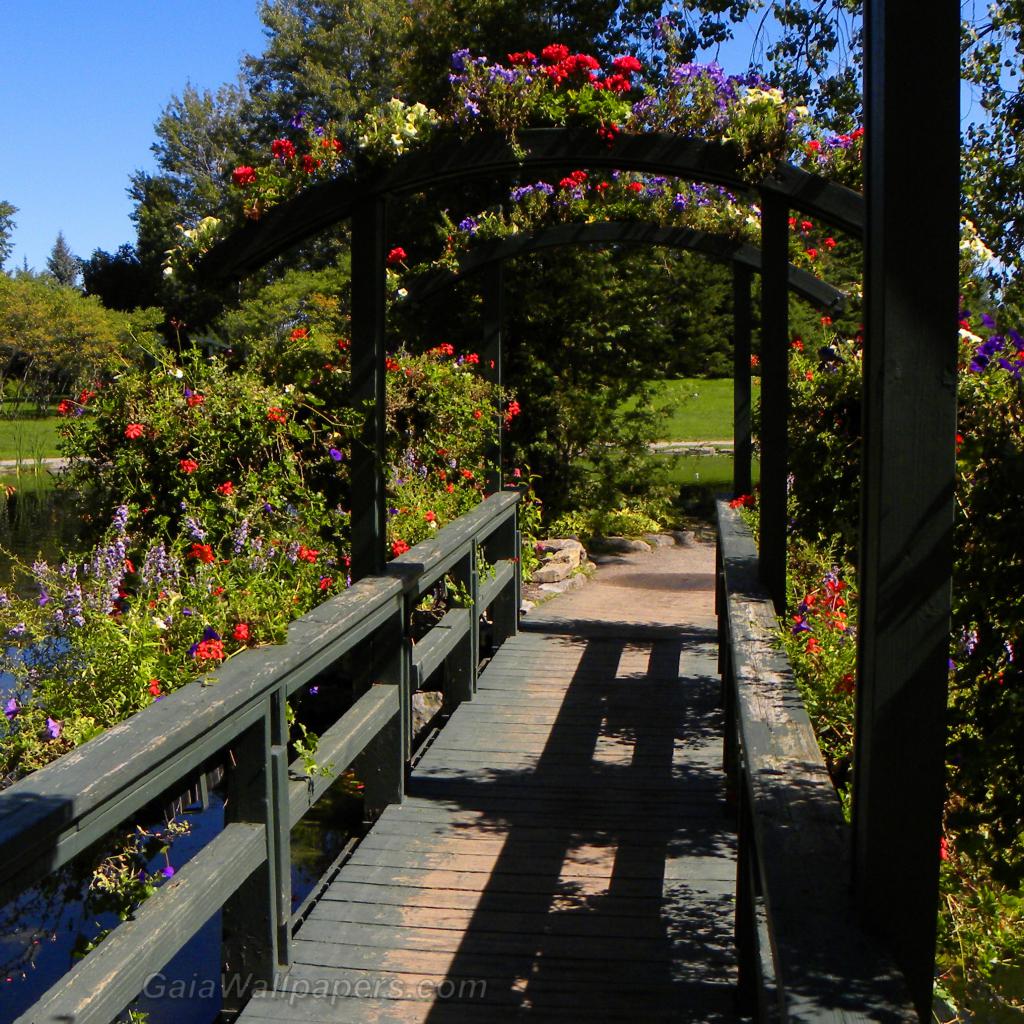 Pont de bois couvert de fleurs - Fonds d'écran gratuits
