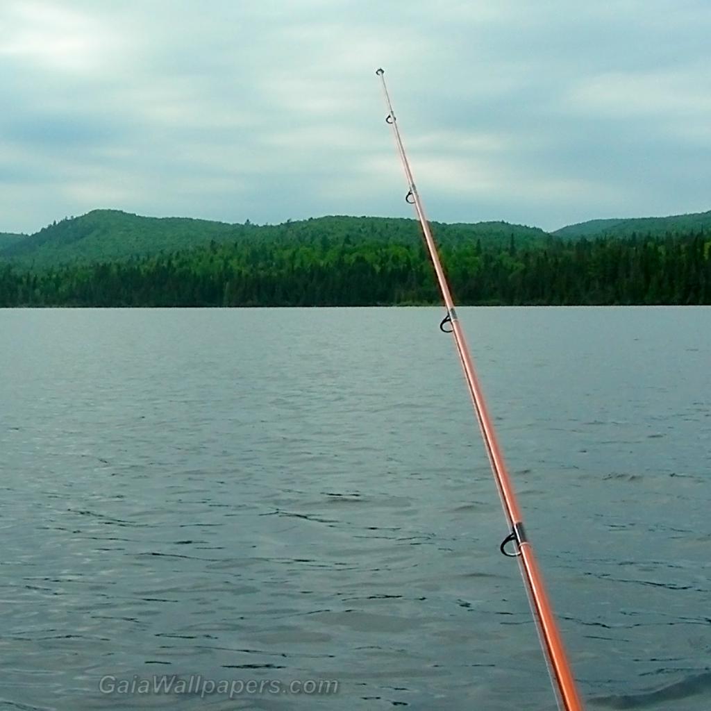Cloudy fishing day at Mont-Tremblant National Park - Free desktop wallpapers