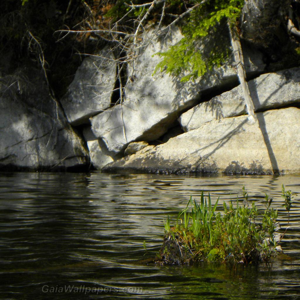 Bord de lac rocheux dans la forêt - Fonds d'écran gratuits