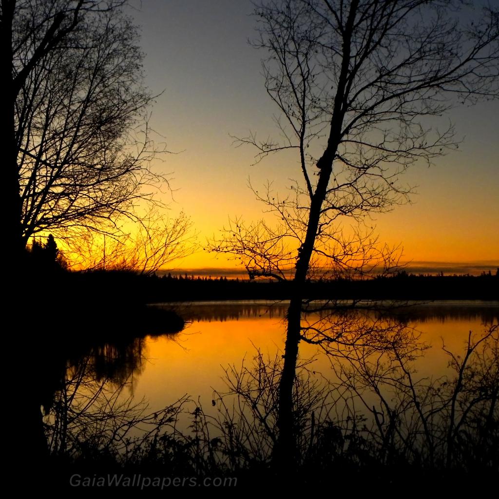 Début du lever du soleil sur le lac - Fonds d'écran gratuits