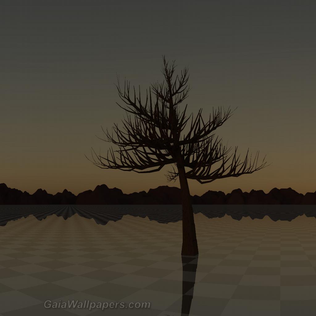 Lonely tree in a lonely land at dusk - Free desktop wallpapers