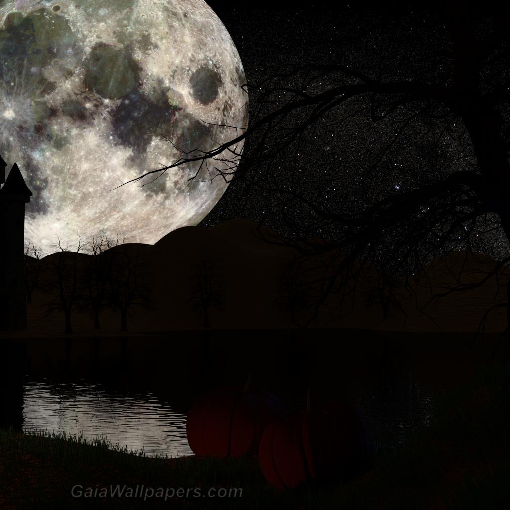 Full moon over Pumpkin Lake - Free desktop wallpapers