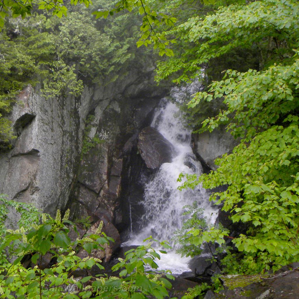 Waterfall in the tree canopy - Free desktop wallpapers