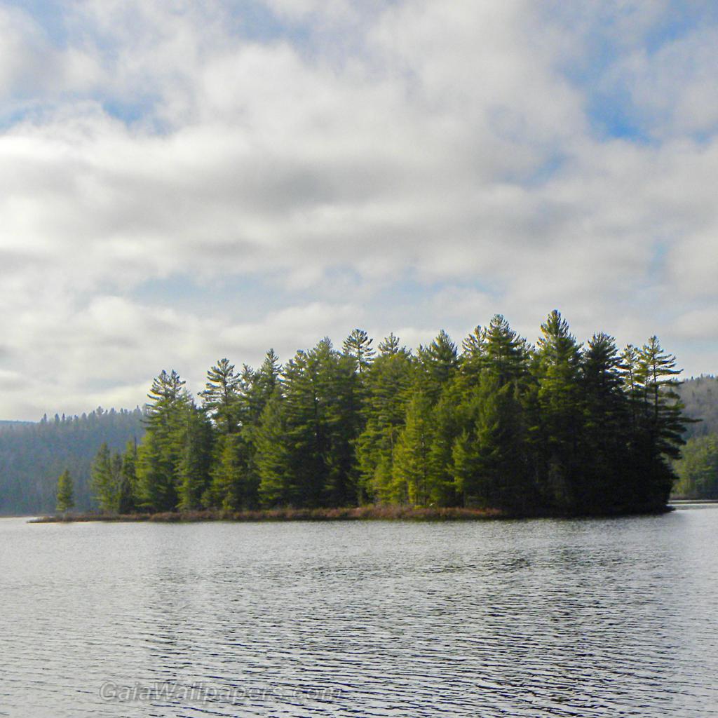 Light autumn wind on the lake and its island - Free desktop wallpapers