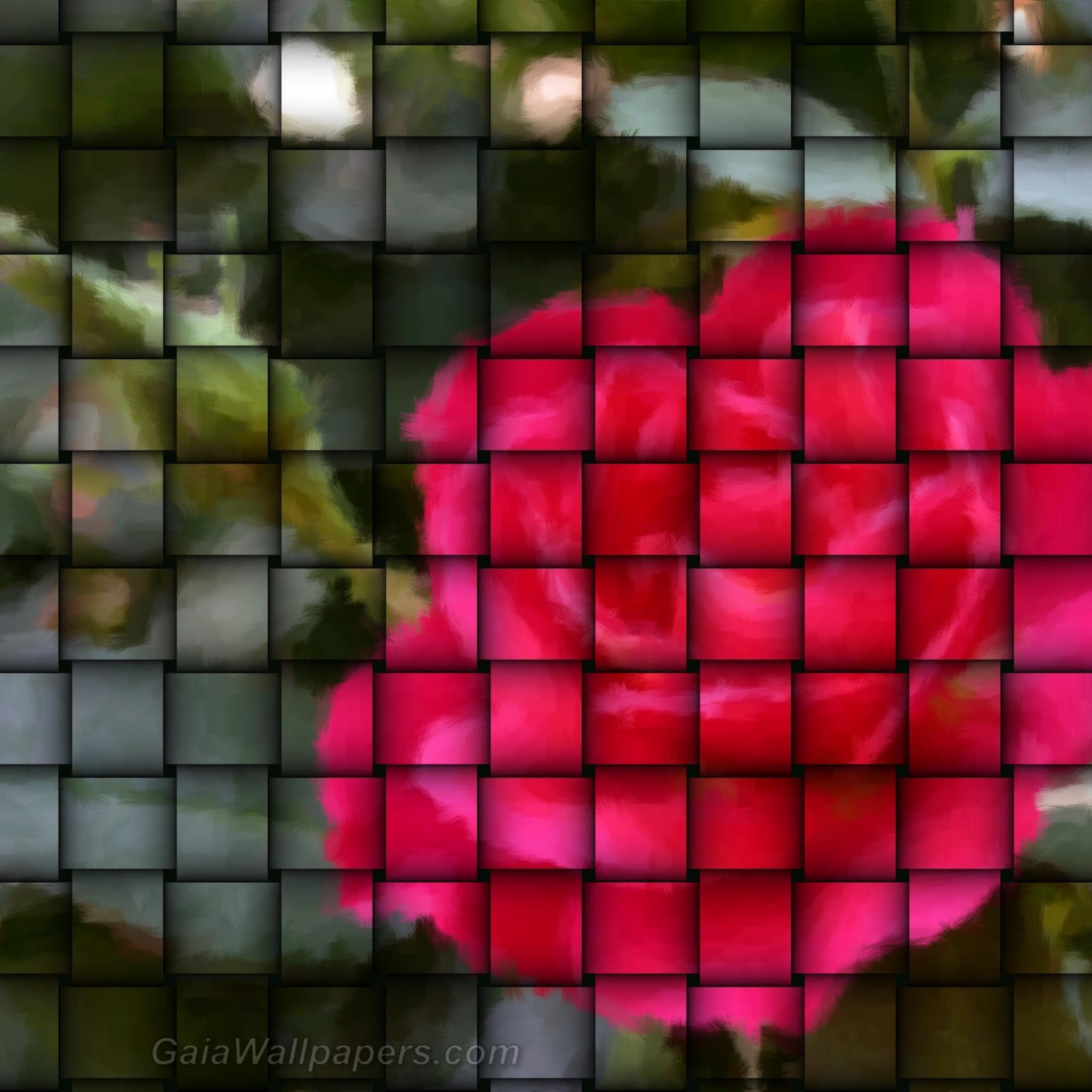 Rose in a weave - Free desktop wallpapers