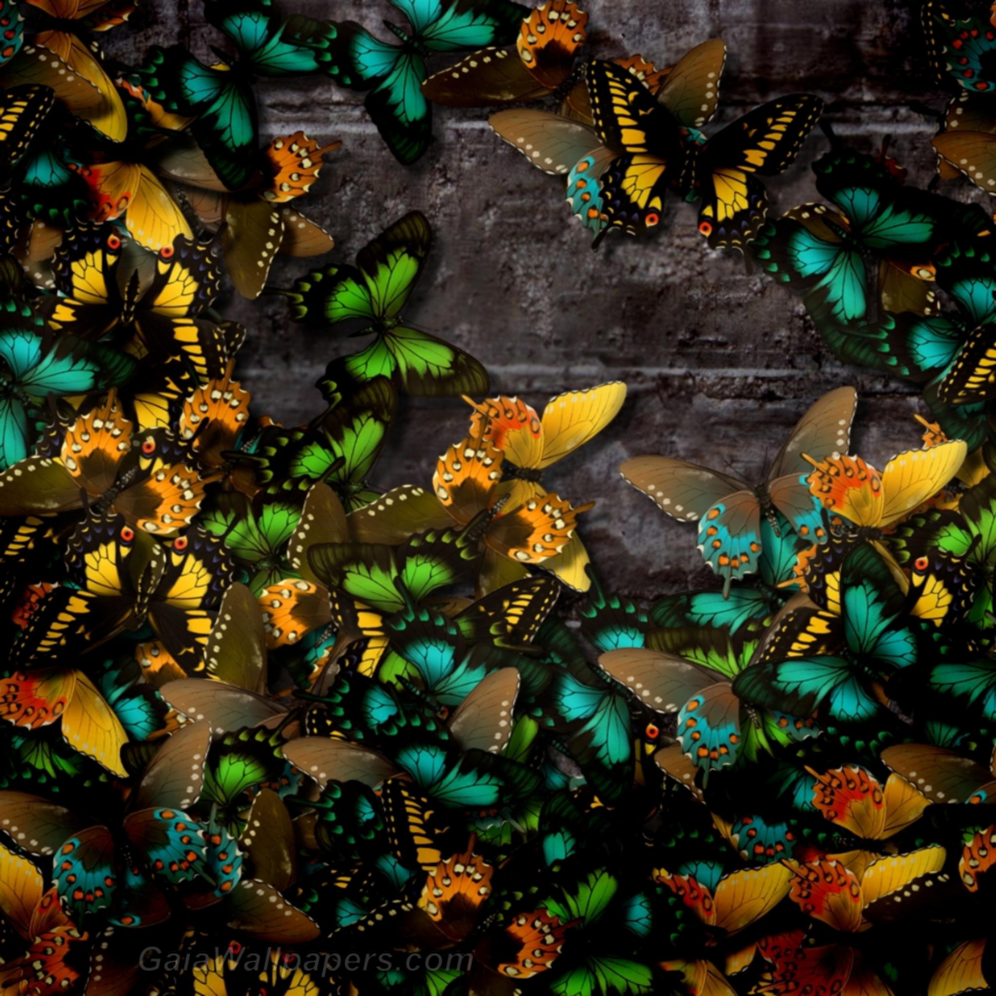 Papillons multicolores sur le mur de pierre - Fonds d'écran gratuits