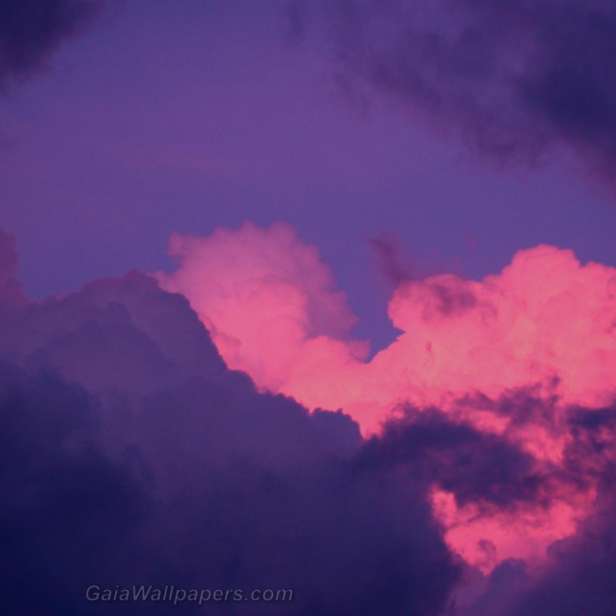 Pink and purple cloud - Free desktop wallpapers