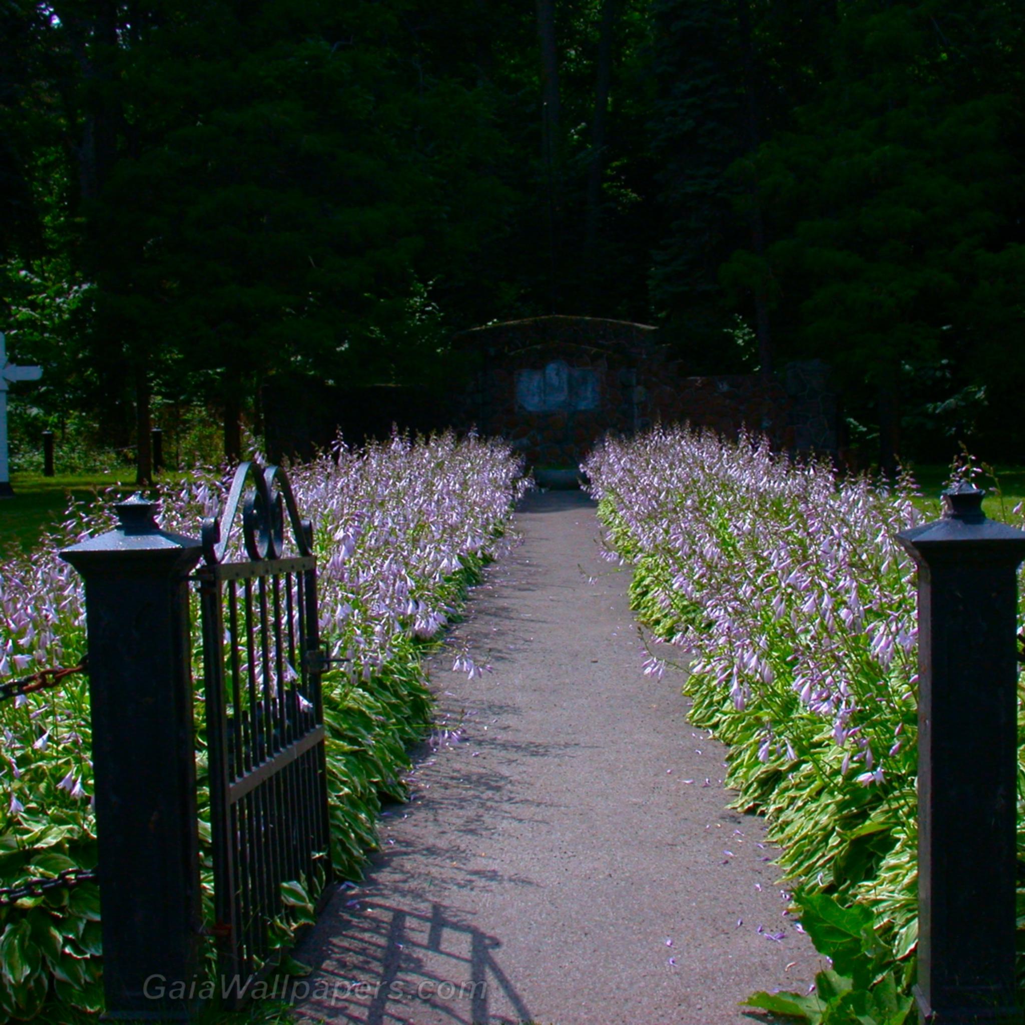Path lined with Hostas leading to a sacred place - Free desktop wallpapers