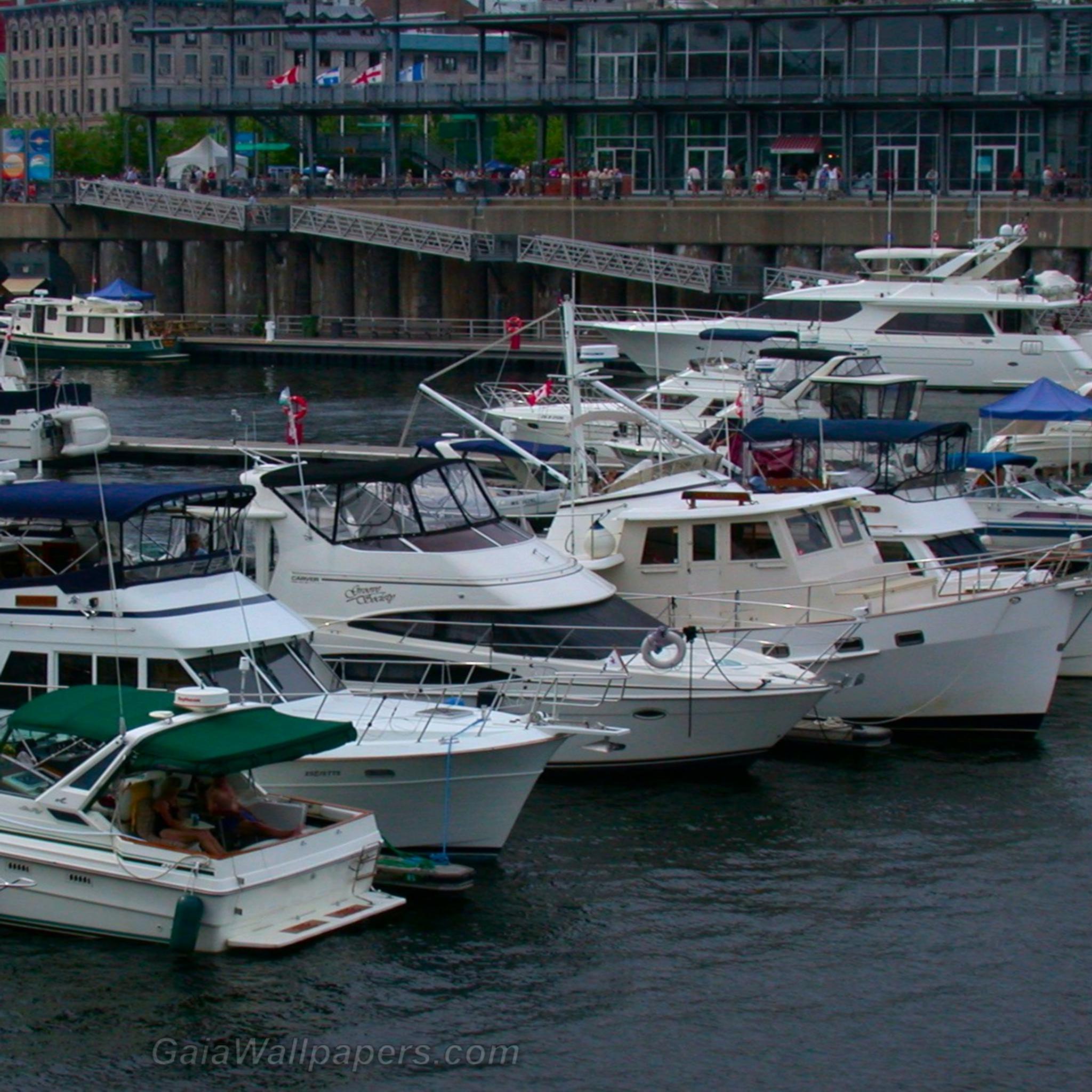 Marina at the Old Port of Montreal - Free desktop wallpapers