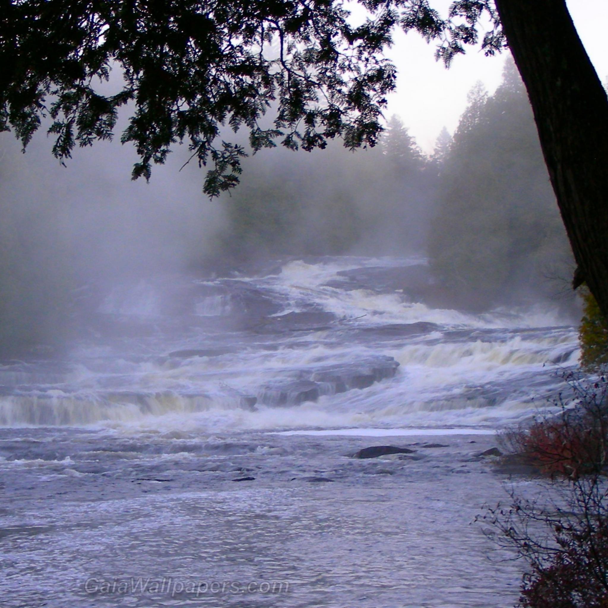 Ruisseau Les Six-Chutes dans le brouillard du matin - Fonds d'écran gratuits