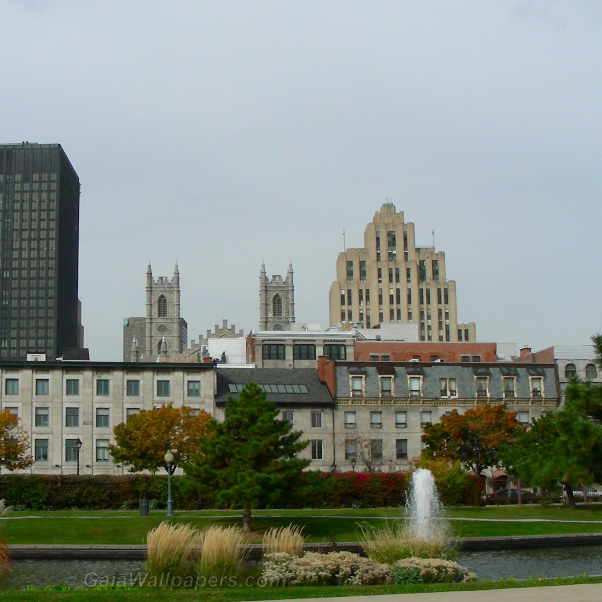 Park at the Old Port of Montreal - Free desktop wallpapers