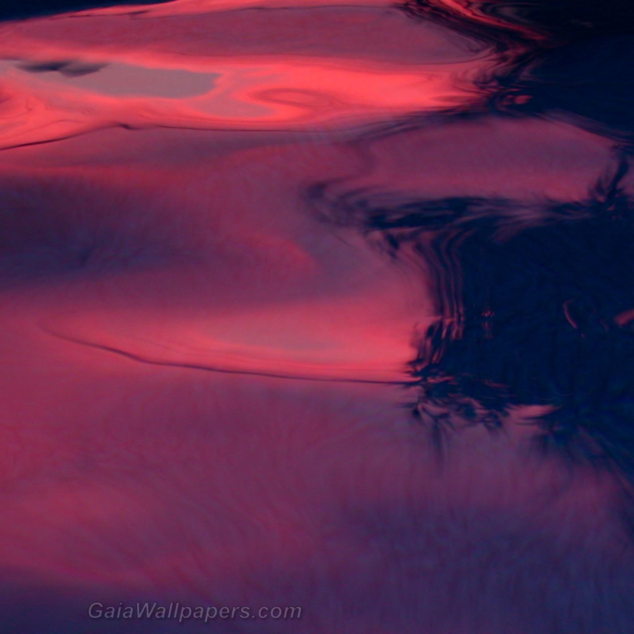 Lumière rose du coucher de soleil dans la piscine - Fonds d'écran gratuits
