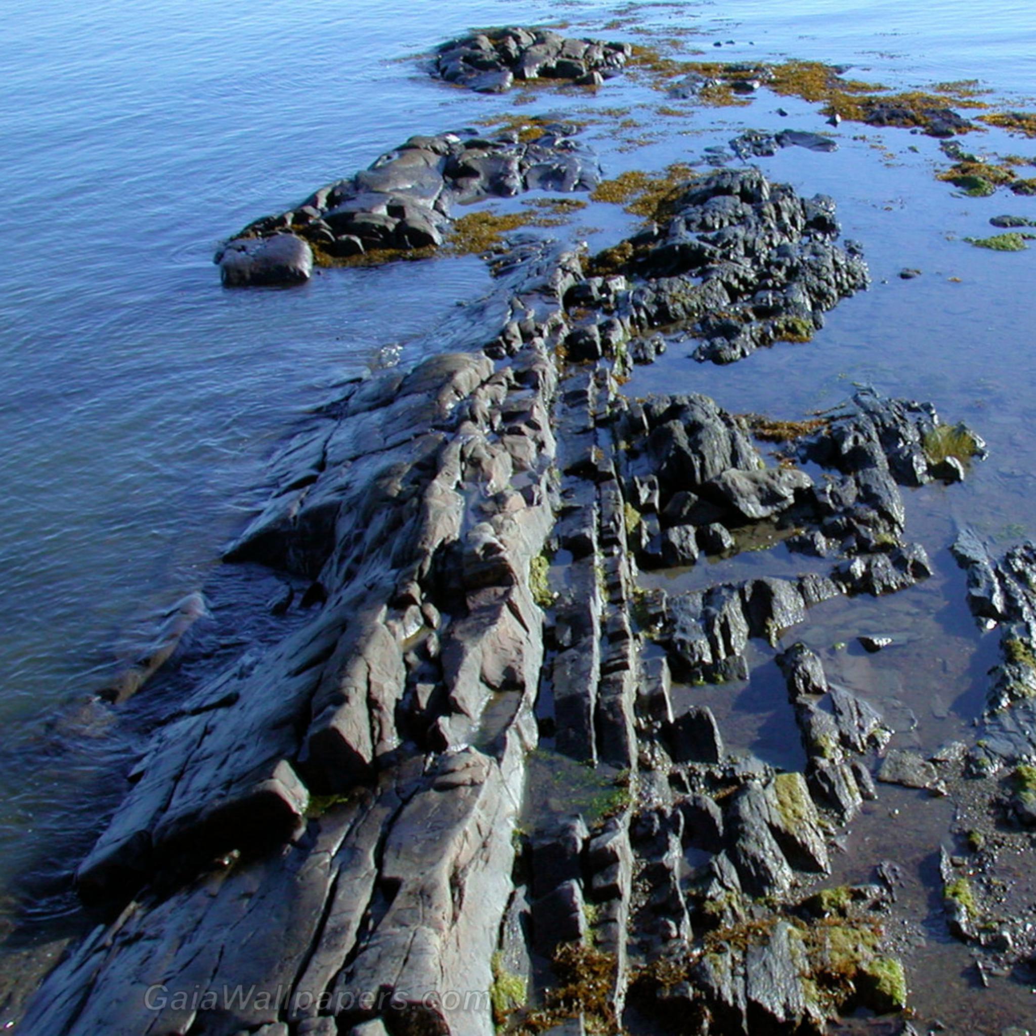 Very old stones on the shores of the St-Lawrence River - Free desktop wallpapers