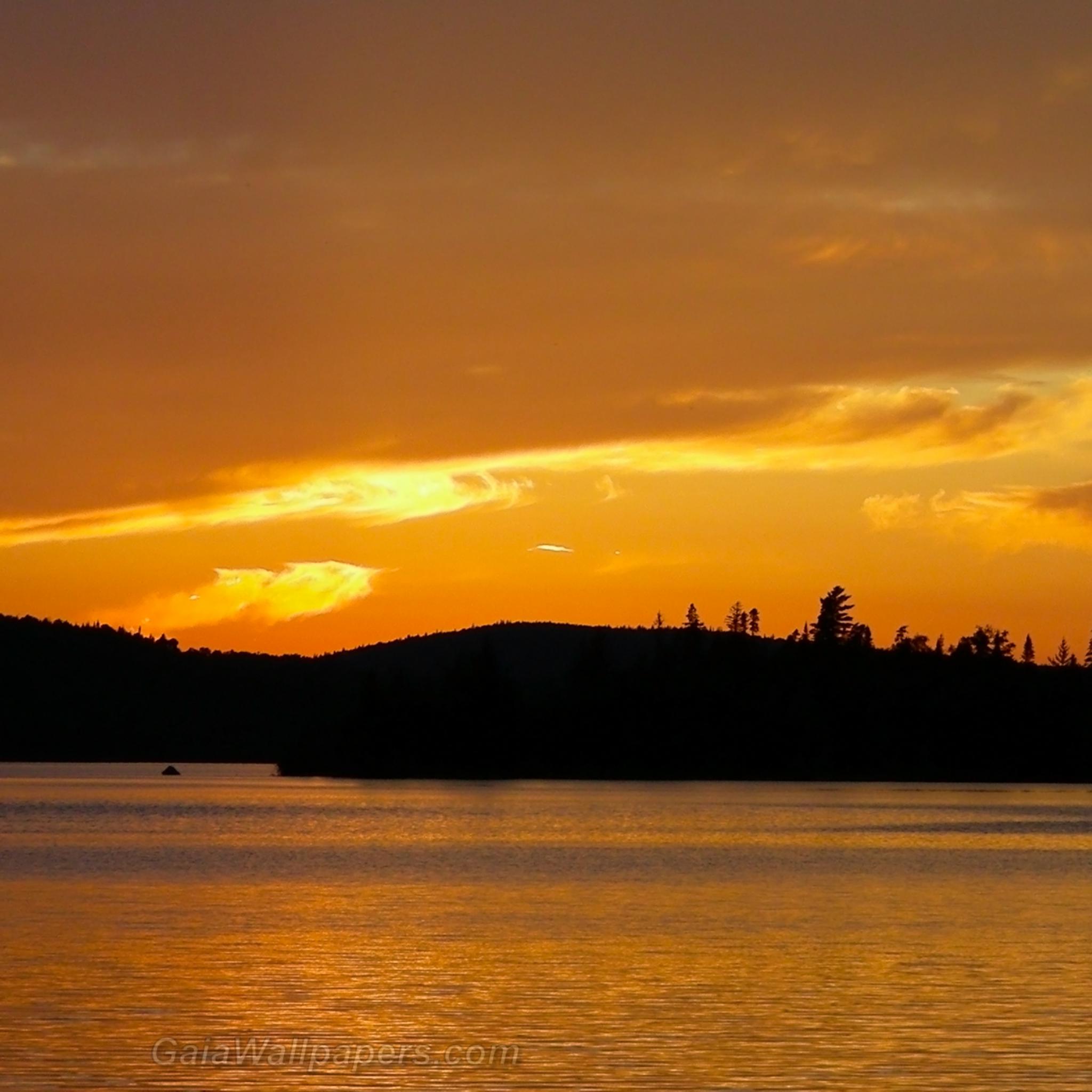 Sunset in the park of Mont-Tremblant - Free desktop wallpapers