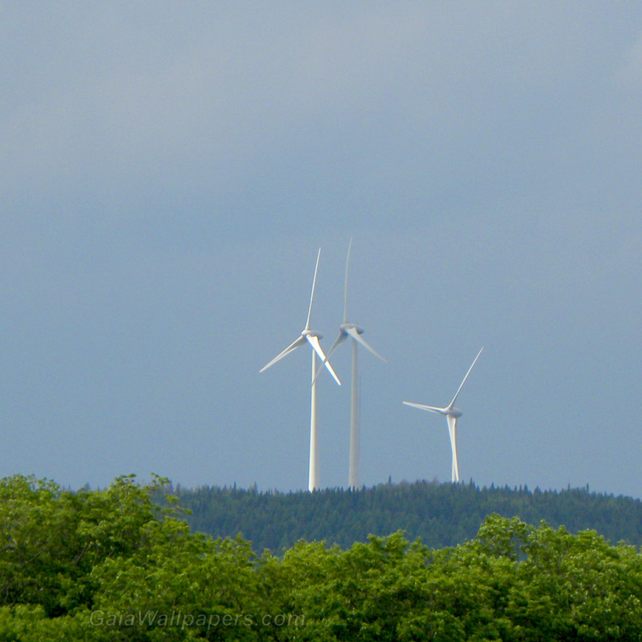 Three wind turbines just behind the mountain - Free desktop wallpapers