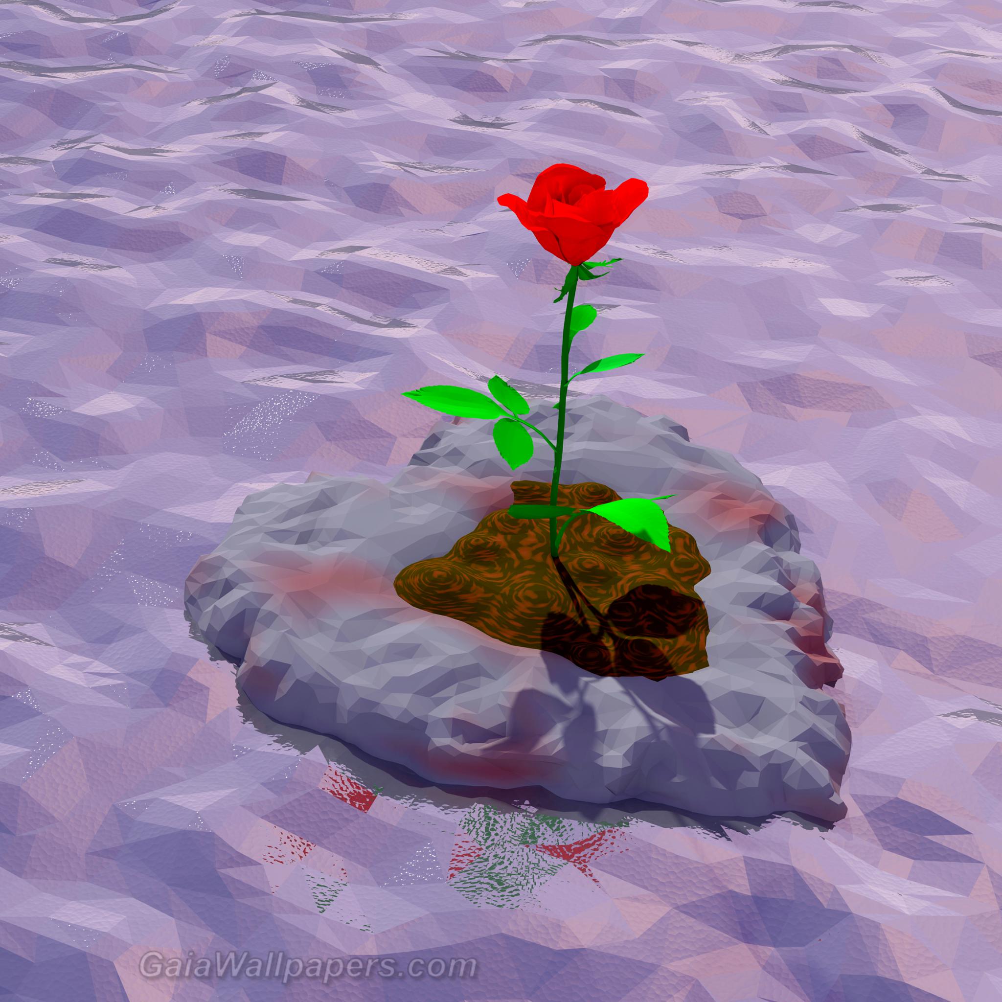 Rose of love drifting on the sea - Free desktop wallpapers