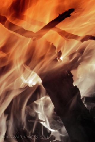 Fire fading to black - Free desktop wallpapers