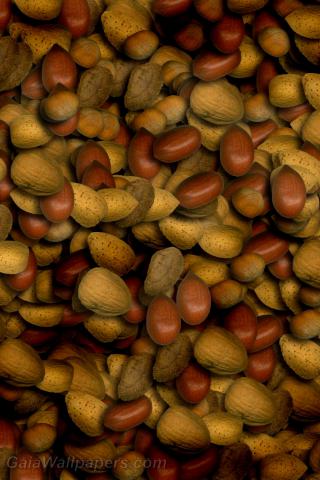 Nuts cover - Free desktop wallpapers