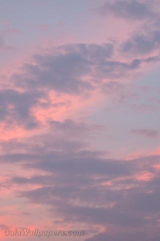 Soft rose morning sky - Free desktop wallpapers