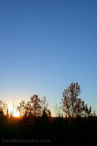 Lever de soleil dans un ciel clair - Fonds d'écran gratuits