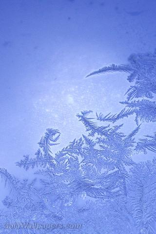 Frozen water on the window - Free desktop wallpapers