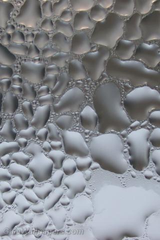 Condensation de gouttes d'eau argentées - Fonds d'écran gratuits